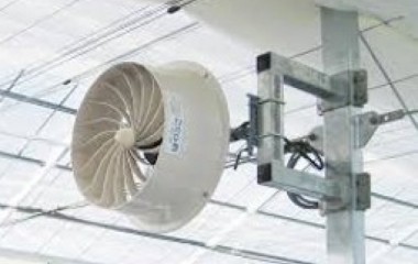  Quạt tuần hoàn gió - Giải pháp tuần hoàn không khí hiệu quả cho nhà kính